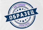 Шаблон футболки ФМ02