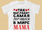 Шаблон № FS01