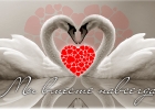 Шаблон № Л06
